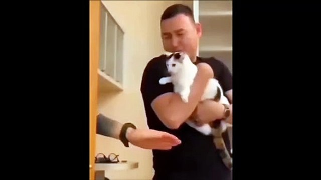 Mieux qu'un chien de garde... un chat de garde