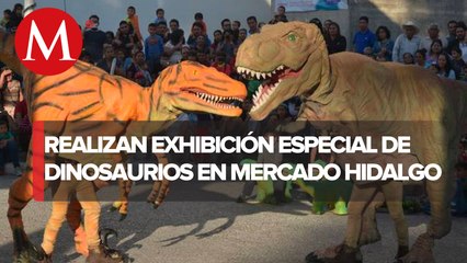 Dinosaurios "invaden" Mercado Hidalgo por romería navideña