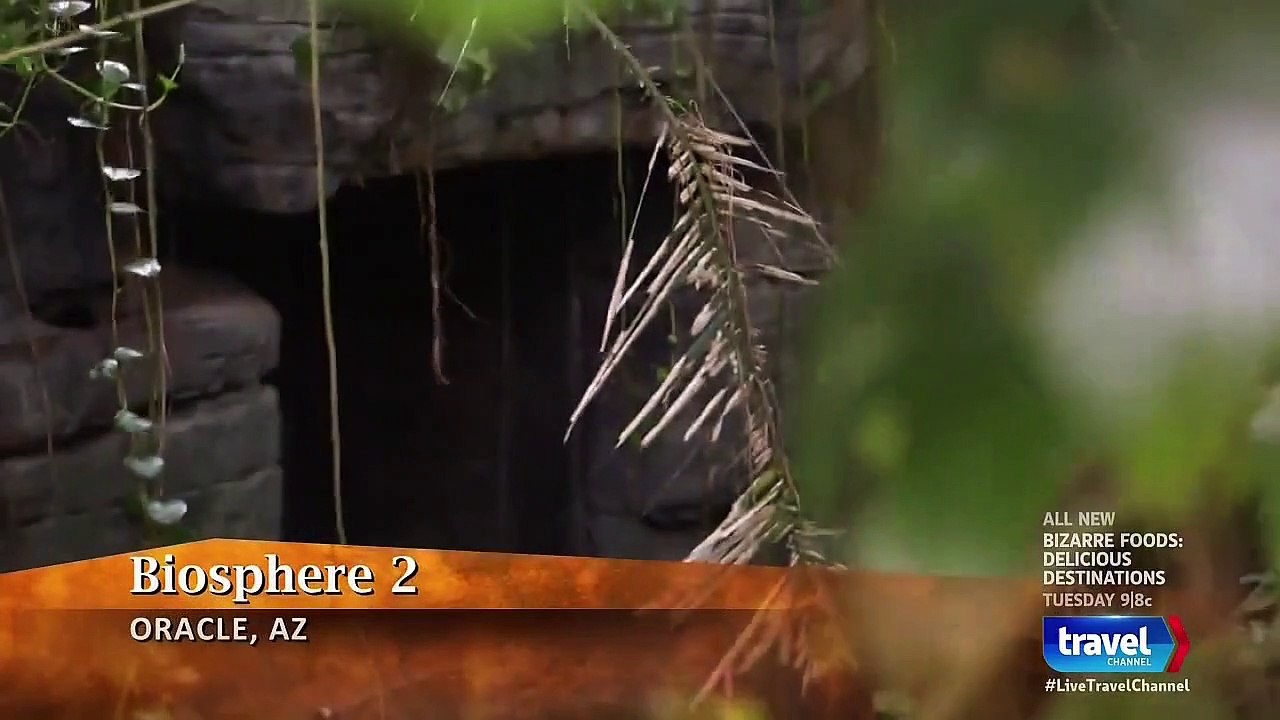 Mysteries at the Museum - Se10 - Ep01 HD Watch HD Deutsch