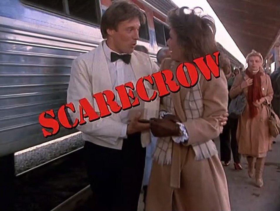 Agentin mit Herz Staffel 4 Folge 19