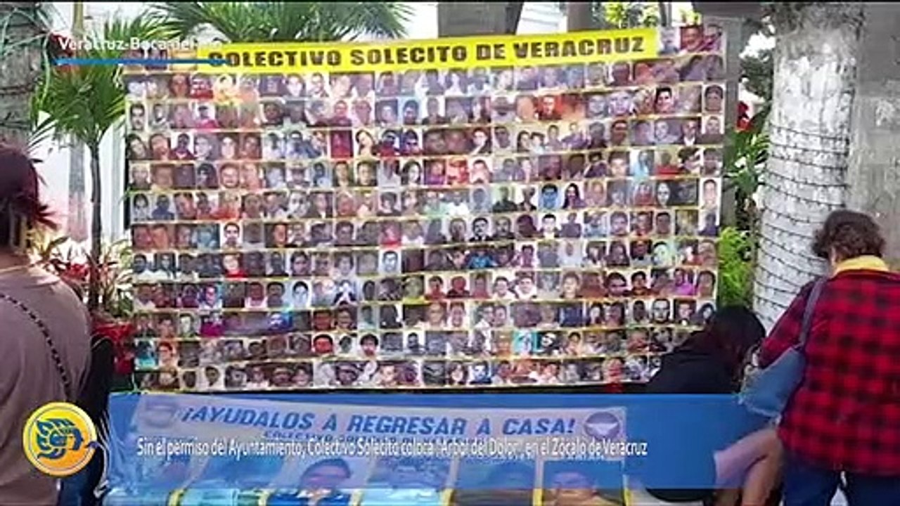 Sin el permiso del Ayuntamiento, Colectivo Solecito coloca “Árbol del Dolor” en el Zócalo de Veracruz