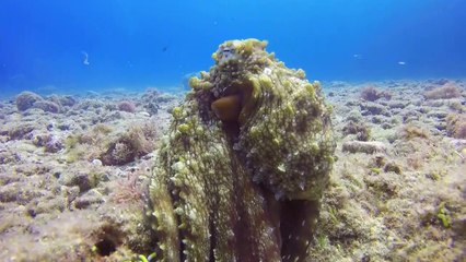 pexels-media-5413821-1671467836284