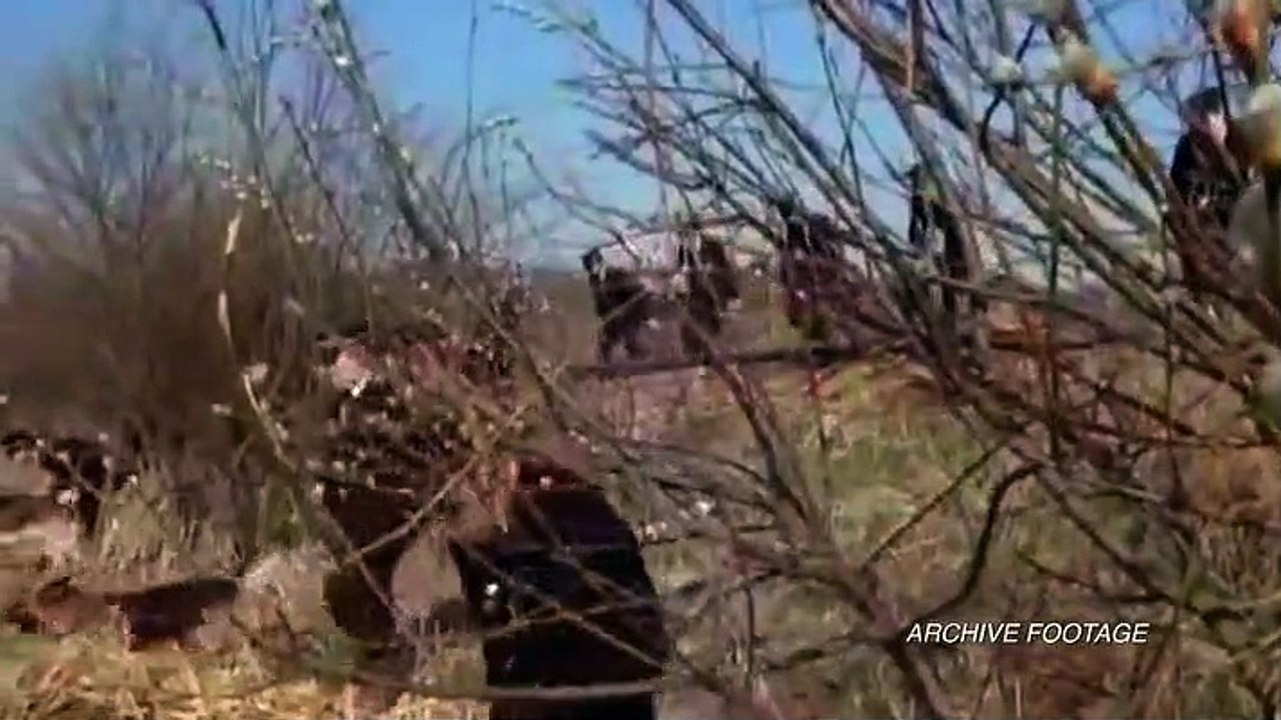 Bloodline Detectives - Se1 - Ep10 - Llandarcy Serial Killer HD Watch HD Deutsch