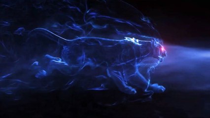 Philips TWS True Wireless Bluetooth Earphone 2000 Series TAT2205 (Review)