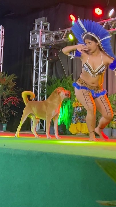 Puppy Climbs on Stage and Steals the Show