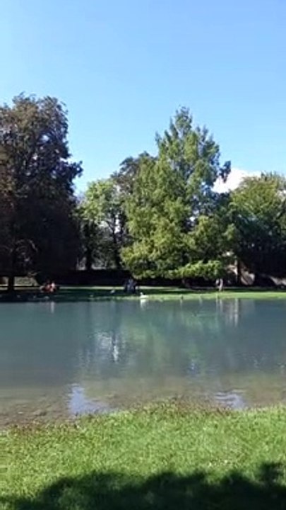 Parc du château de Vizille   Musée de la Révolution française Domaine de Vizille #vizille #châteaudevizille #parc #france #2022 (14)