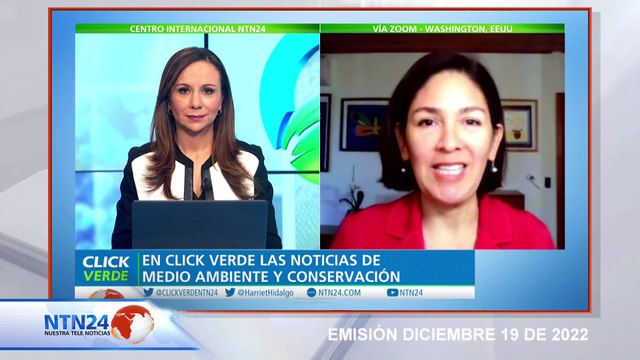 EN ESTADO VULNERABLE ESTÁN POR LO MENOS 12 MIL ESPECIES DE FAUNA SILVESTRE EN ESTADOS UNIDOS