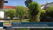 Venezuela: El café de la región de Aragua busca posicionarse nuevamente como uno de los mejores