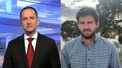 Work to repair more than 50 levee banks underway as burst impacts Murraylands town