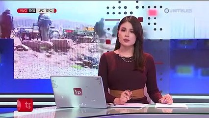 Transporte internacional pide la intervención de las autoridades ante bloqueo en frontera con Perú 