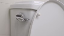 Why are public toilet seats U-shaped?