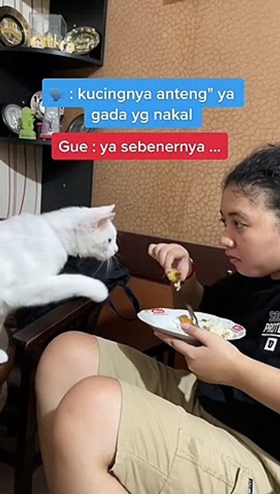 009 LUCU ABIS || Video Lucu Bikin Ngakak || Kelakuan Warga Bumi Bikin Sakit Perut||funny Comedy Videos