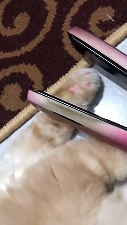 006 LUCU ABIS || Video Lucu Bikin Ngakak || Kelakuan Warga Bumi Bikin Sakit Perut||funny Comedy Videos
