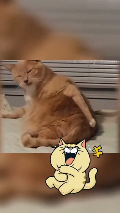 005 LUCU ABIS || Video Lucu Bikin Ngakak || Kelakuan Warga Bumi Bikin Sakit Perut||funny Comedy Videos