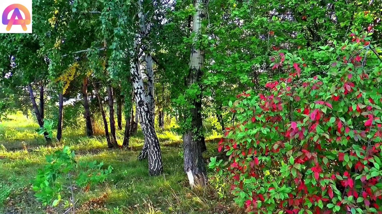 Sleeping Relaxing Music, Meditation Music, Tension free Music, Sleep Music, Study Music enjoy us