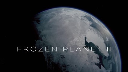 Frozen Planet II narrated by Sir David Attenborough • Ep3 Frozen Peaks • BBC HD 1080p 2023