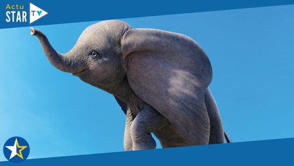 Dumbo (M6) : faut-il regarder l'adaptation du dessin animé de Disney ?