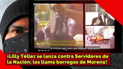¡Borregos de Morena! ¡Lilly Téllez se lanza vs. Servidores de la Nación!