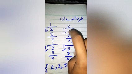 Prime Numbers: Understanding Their Significance