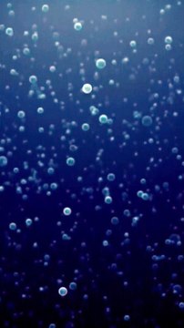 Music is a Spiritual - Van Morrison