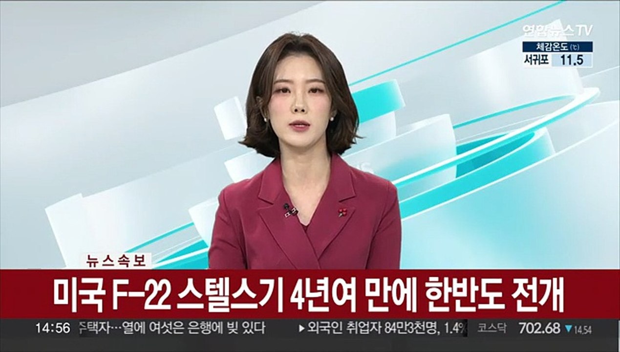 [속보] 미국 F-22 스텔스기 4년여 만에 한반도 전개