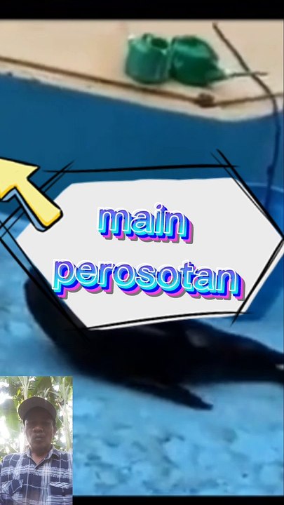 Main serosotan