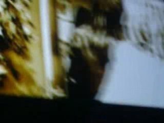 Schwartz 1 - September 3rd Update