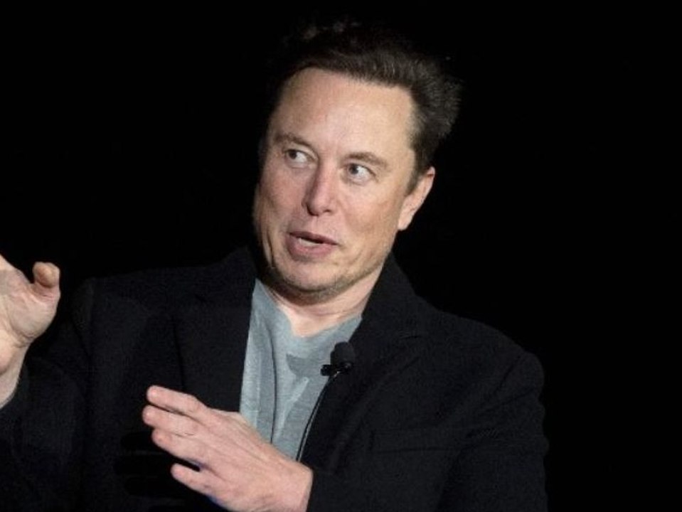 Völlige Blamage auf Twitter: Elon Musk und seine irren Umfragen