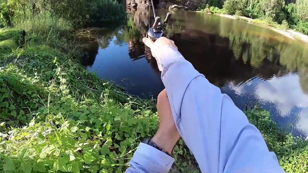 6 Crocodile Encounters You Should Avoid Watching