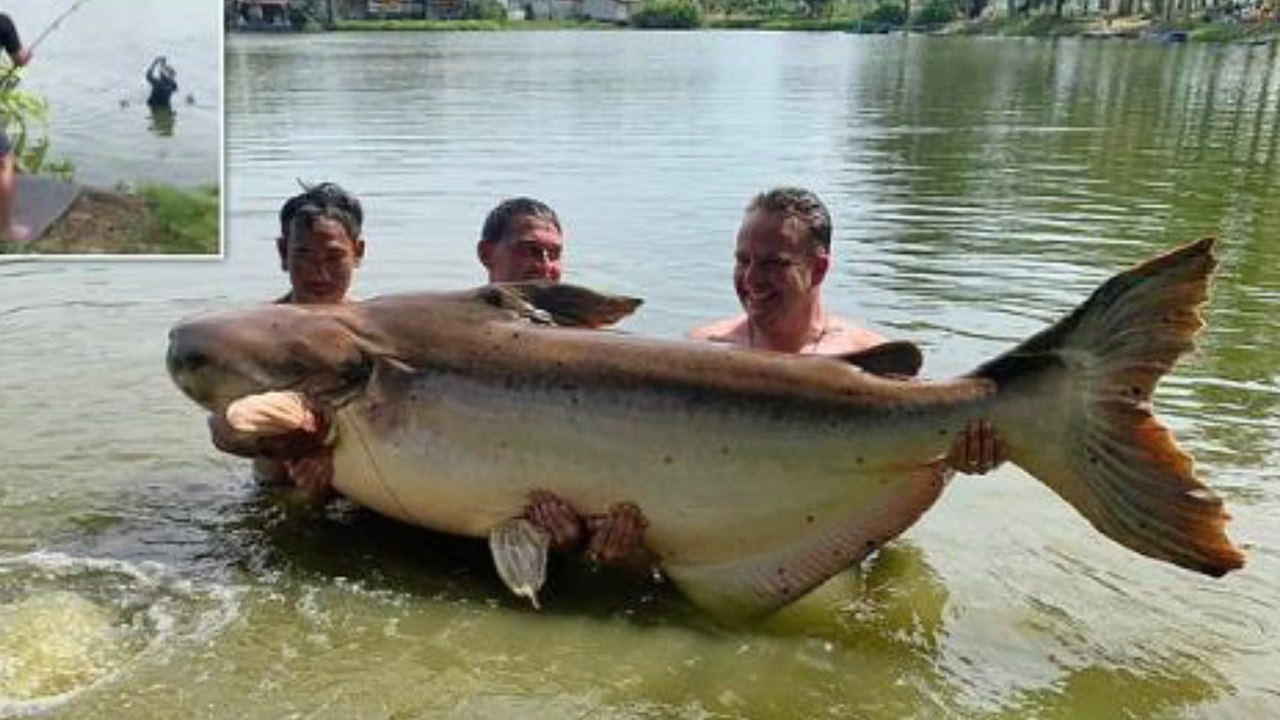 Brite fängt gigantischen 190 Kilo Riesenfels