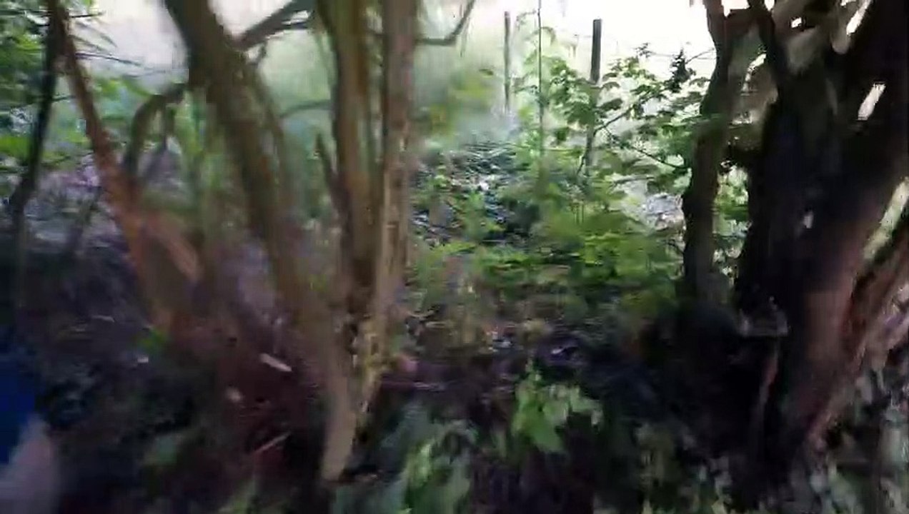 Urbex #7 Exploration de châlets de vaccances abandonnés