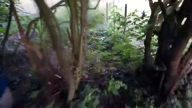Urbex #7 Exploration de châlets de vaccances abandonnés