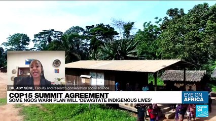 COP15: Some NGOs warn plan will 'devastate indigenous lives'