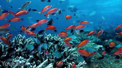 11 COOLEST GADGETS That Are Worth Buying