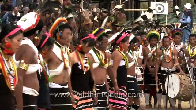 Skylark dance of the Zeliang Naga tribes