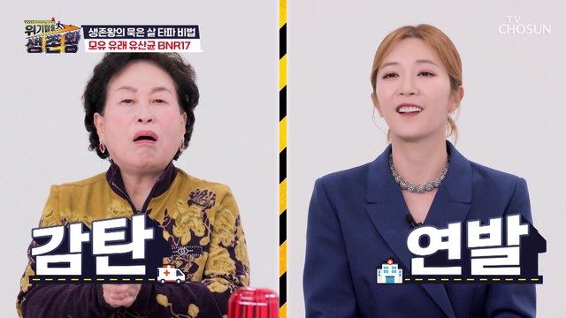체지방 감소 유산균으로 식약처 인정까지 받은 효자템 등장 TV CHOSUN 221220 방송