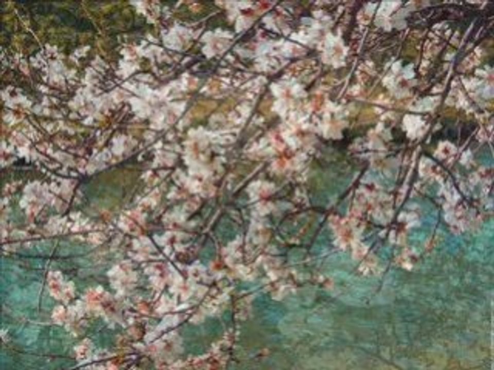 CHANTS D'OISEAUX PRINTEMPS