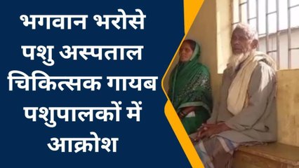 पश्चिमी चंपारण: पशु चिकित्सा भगवान भरोसे, सरकारी पशु अस्पतालों मे नहीं हैं डाक्टर