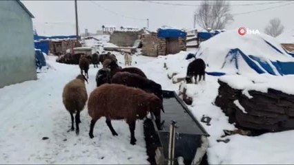 Aşkale'de kar yağışı etkili oluyor