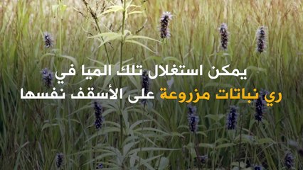 مياه الأمطار.. تعد مصدراً حيوياً للمياه النقية يمكن التقاطه وتخزينه واستغلاله!