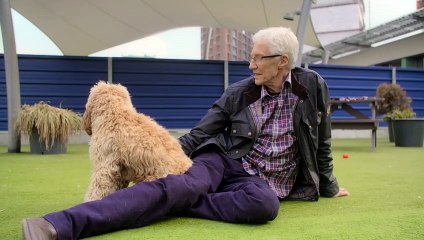 Paul O'Grady For the Love of Dogs S10E01