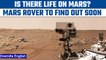 Perseverance: NASA Mars rover to lay down rocks for Earth return | Oneindia News *Space
