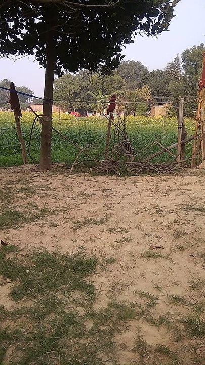 VID_20221218_152234