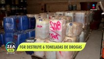 FGR destruyó 6 toneladas de drogas en Sinaloa