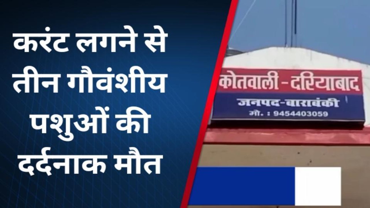 बाराबंकी: बिजली के खंभे में उतर रहा था करंट,चपेट में आने से तीन जानवरों की दर्दनाक मौत