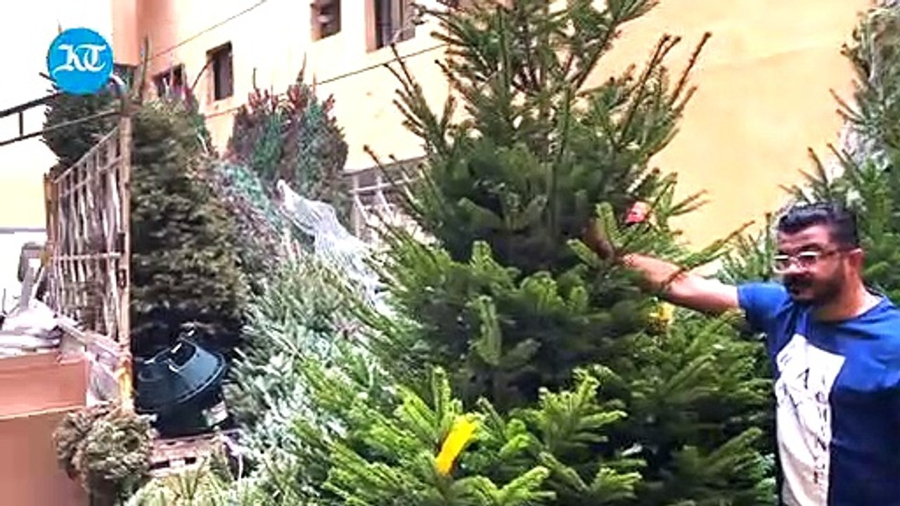 Christmas in Dubai: Fir trees sell for up to Dh7,200 as demand surges through the roof