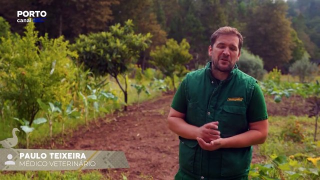 Veterinarios Todo o Terreno, Episódio 7