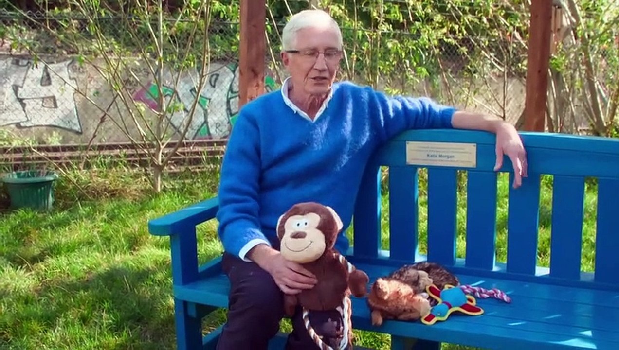 Paul O'Grady For the Love of Dogs S10E05