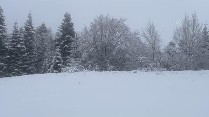 KASTAMONU - Yüksek kesimlerde kar ve sis etkili oluyor