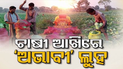 Distress sell haunts Odisha farmers